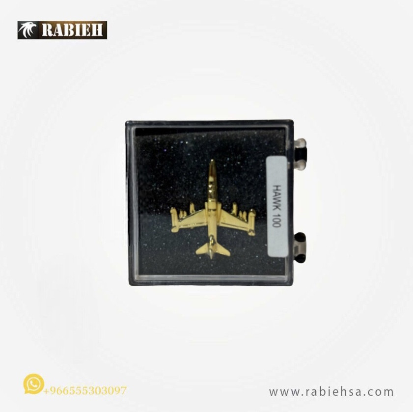 Hawk 100 Pin Badge