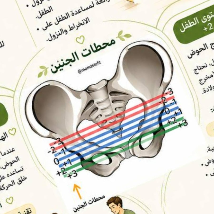 ملخصات لرفيق الولادة