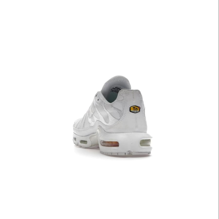 نايك Air max plus