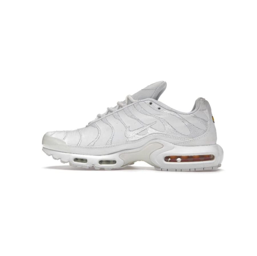 نايك Air max plus