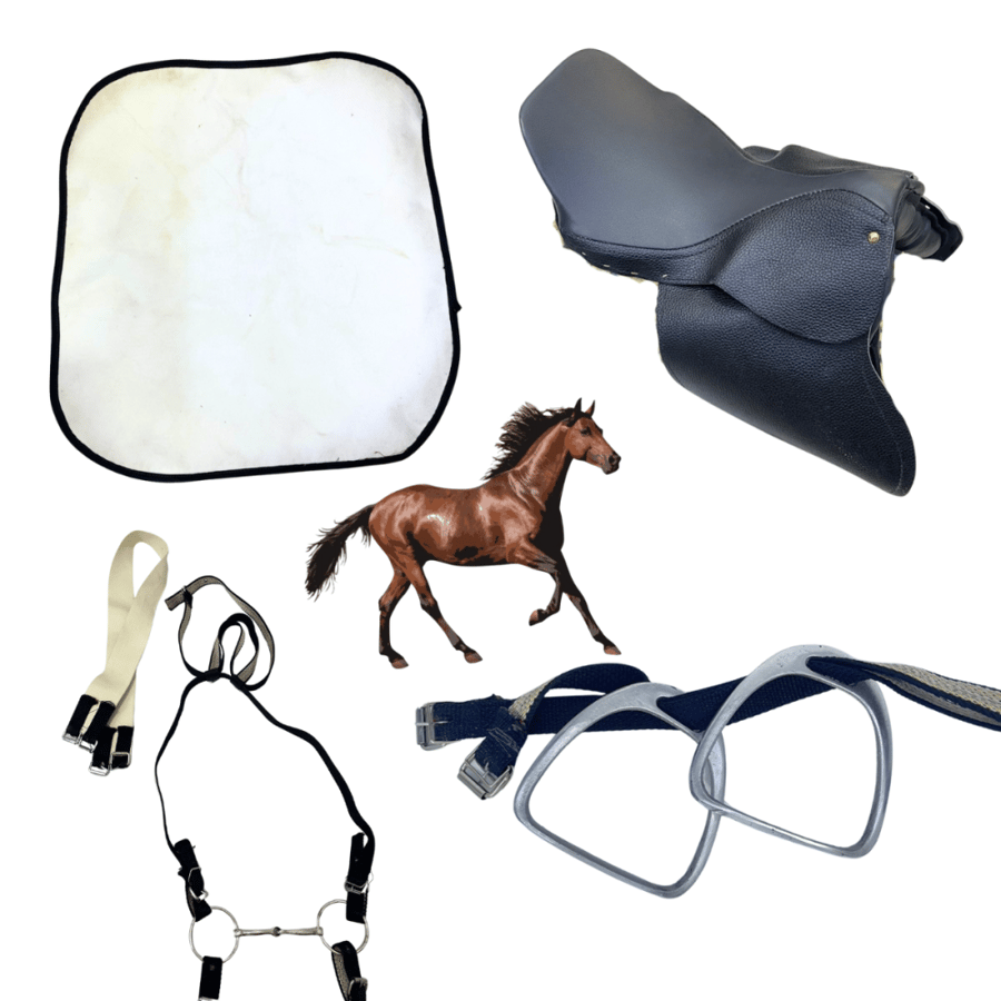 مجموعة سرج خيل وسط