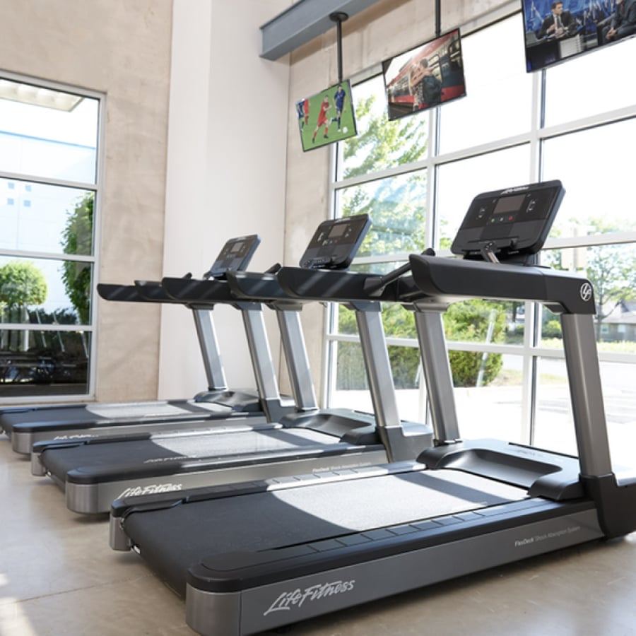 Integrity Commercial Electric Treadmill
