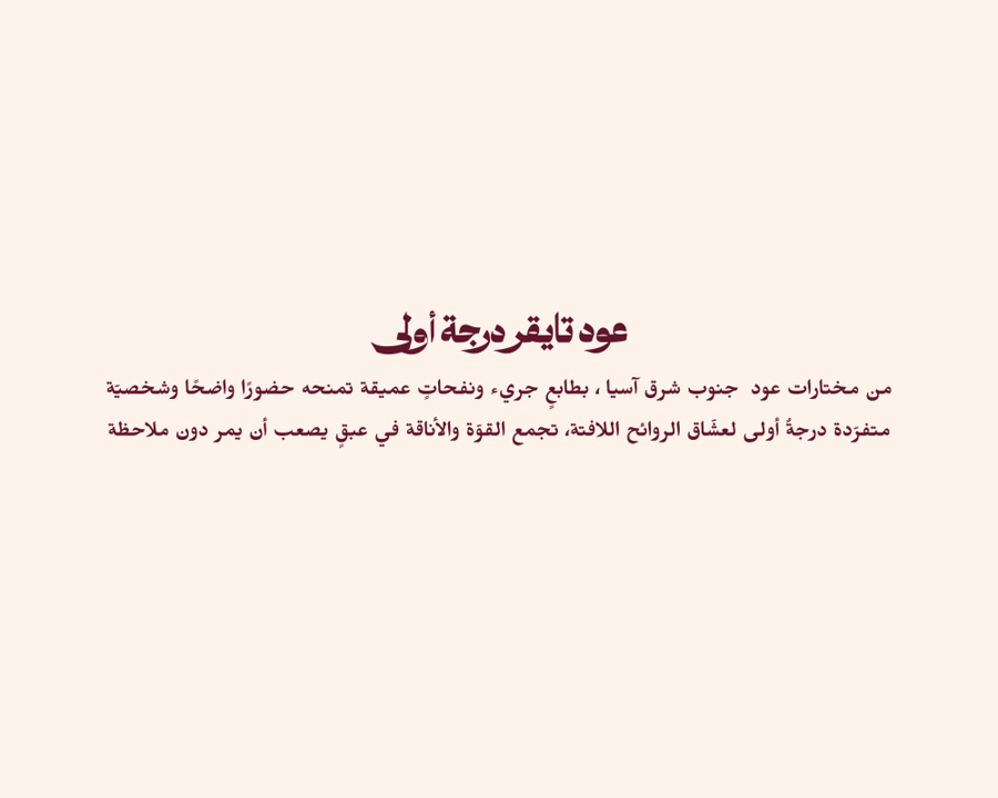 تايقر عود أصلي فاخر من رند للعود