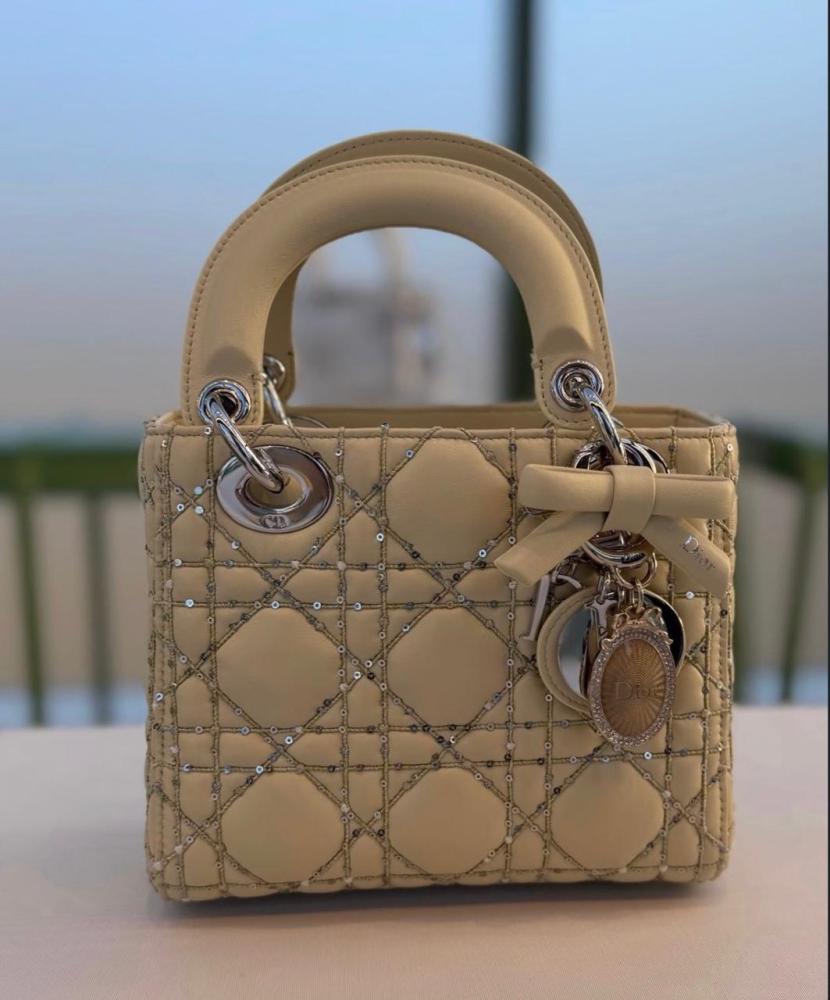 شنطة ديور