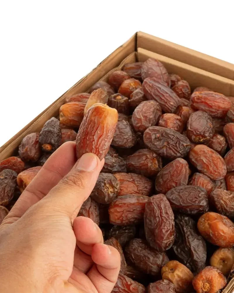 مجدول