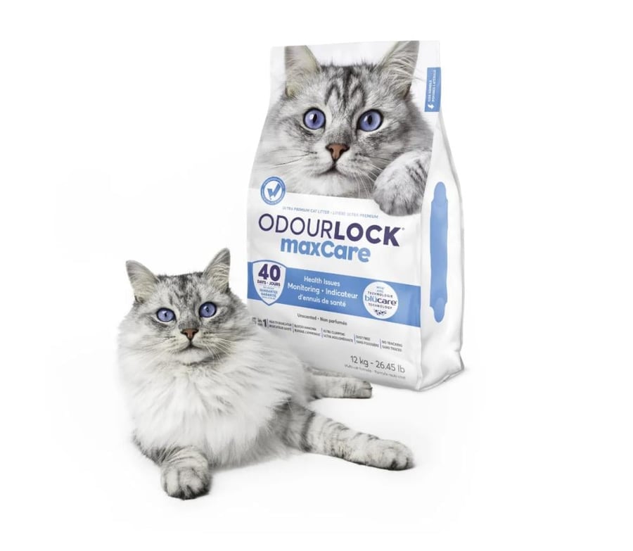رمل انترساند ماكس كير رمل قطط للكشف عن مشاكل القطط Intersand odourLock