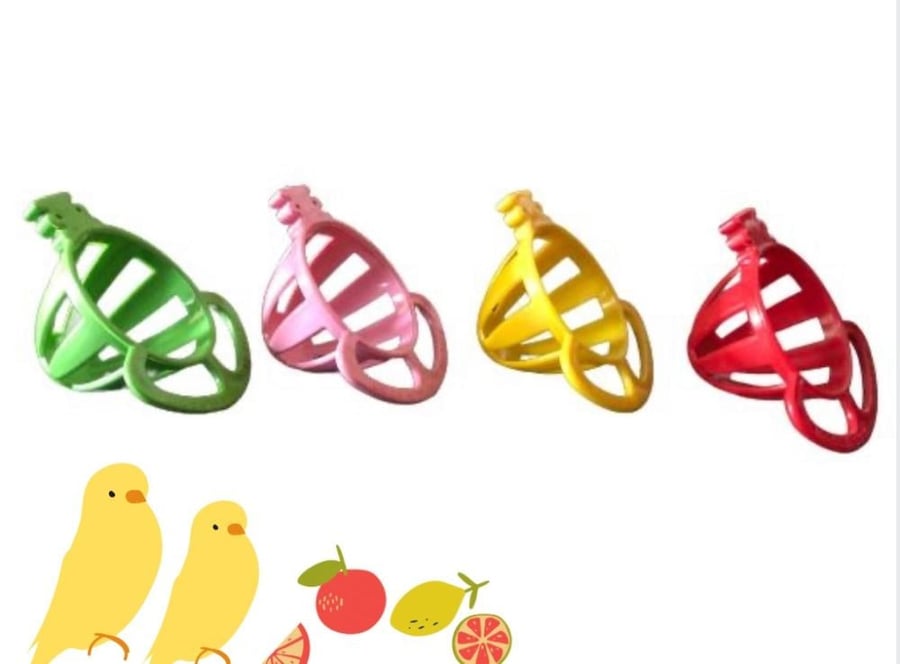 حامل طعام وفواكه للطيور الصغيرة والمتوسطة – Bird Food - Fruit Holder C