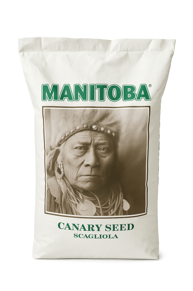 مانيتوبا غذاء كناري سادة Manitoba Plain Canary Seed