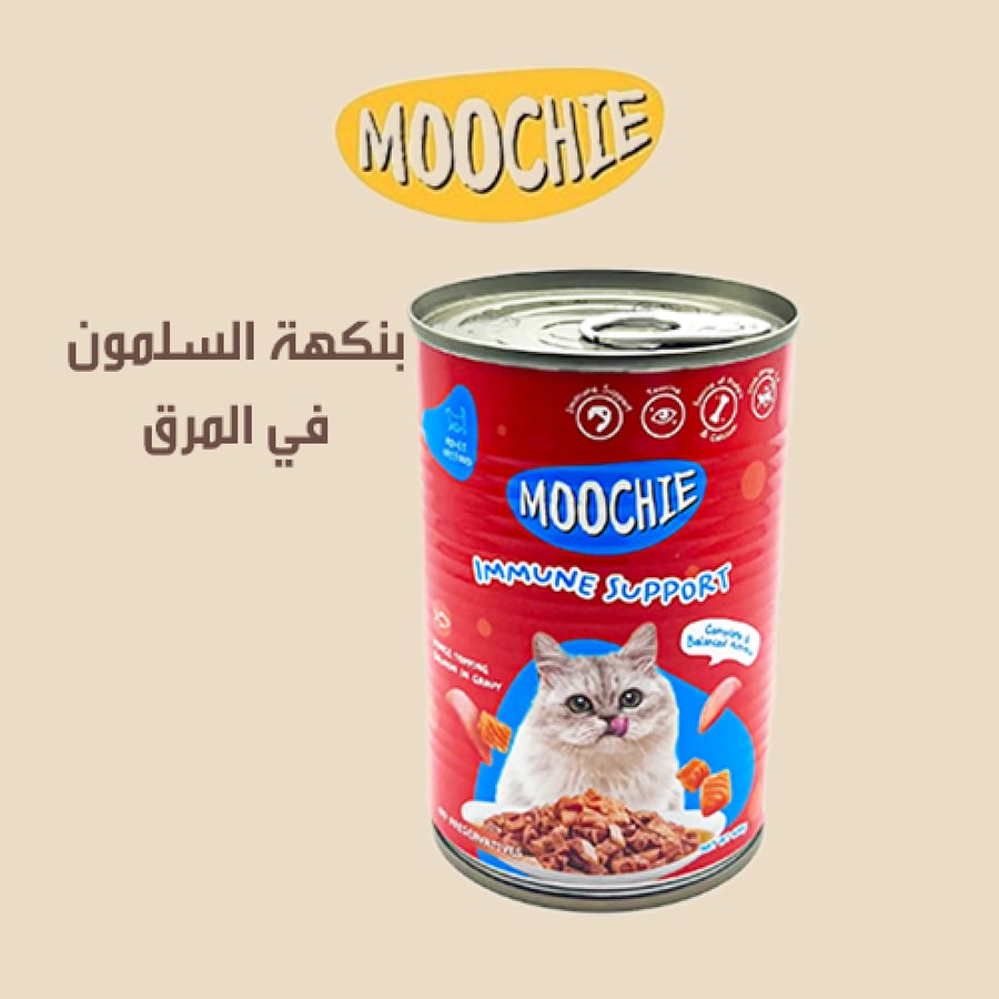 سمك السلمون موتشي MOOCHIE TOPPING SALMON IN GARAVY اكل قطط طبيعي وصحي