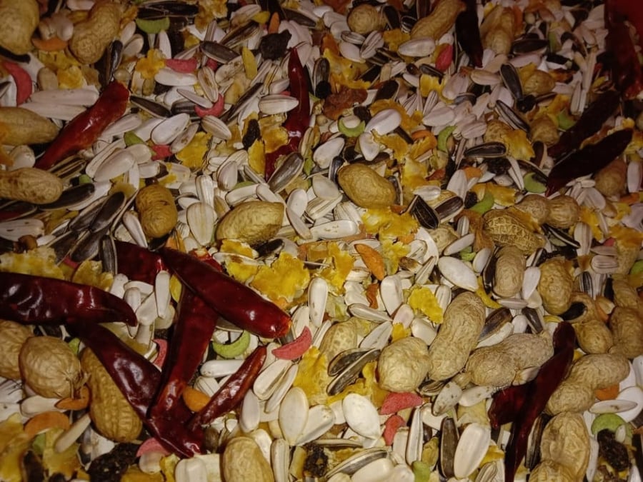 غذاء ببغاء كاسكو كوكاتو امبريلا مكاو بالفواكه ار اند ام Parrot Mix