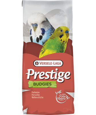 اكل بادجي زيبراء فيرسل لاقا Versele-laga BUDGIES