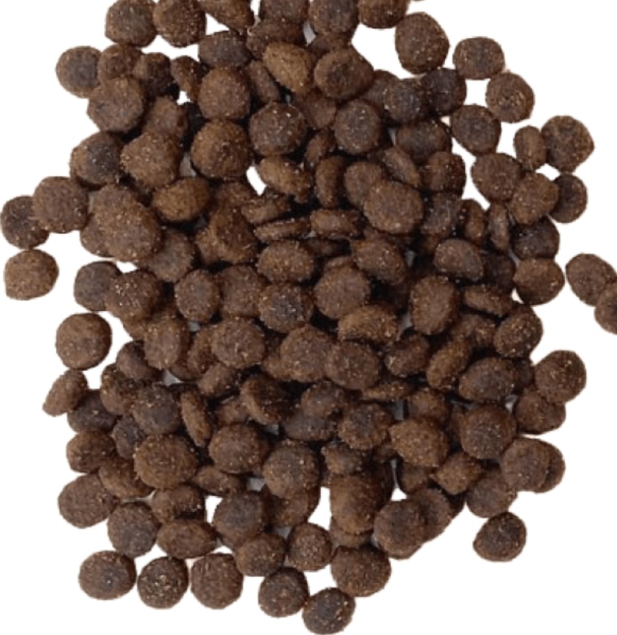 طعام جاف للقطط الصغيرة - نكهة الدجاج Dry food for kitten - Chicken