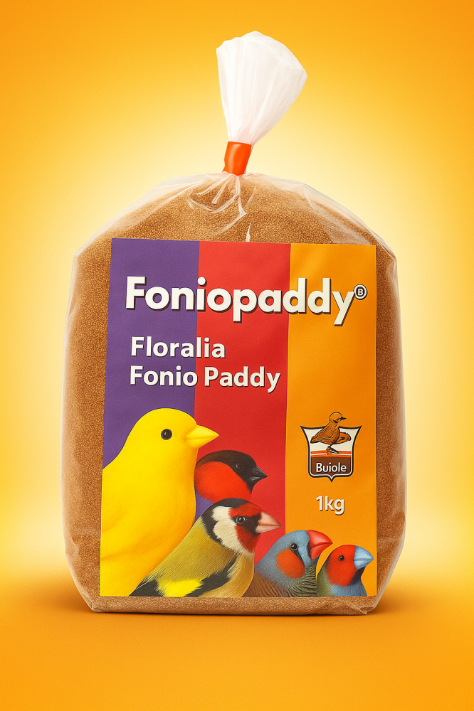 Floralia Fonio Paddy  فلوراليا فونيو بادي غذاء طبيعي لعلاج الكوكسيديا