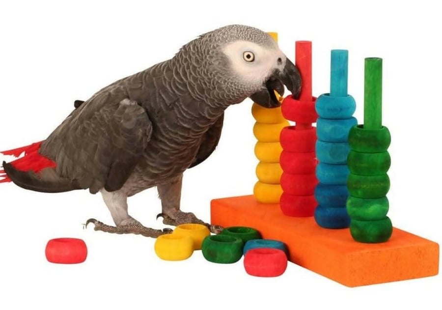 العاب طيور خشبية لعبة حركية  Parrot Toys -   منصة خشبية لتنمية ذكاء ال