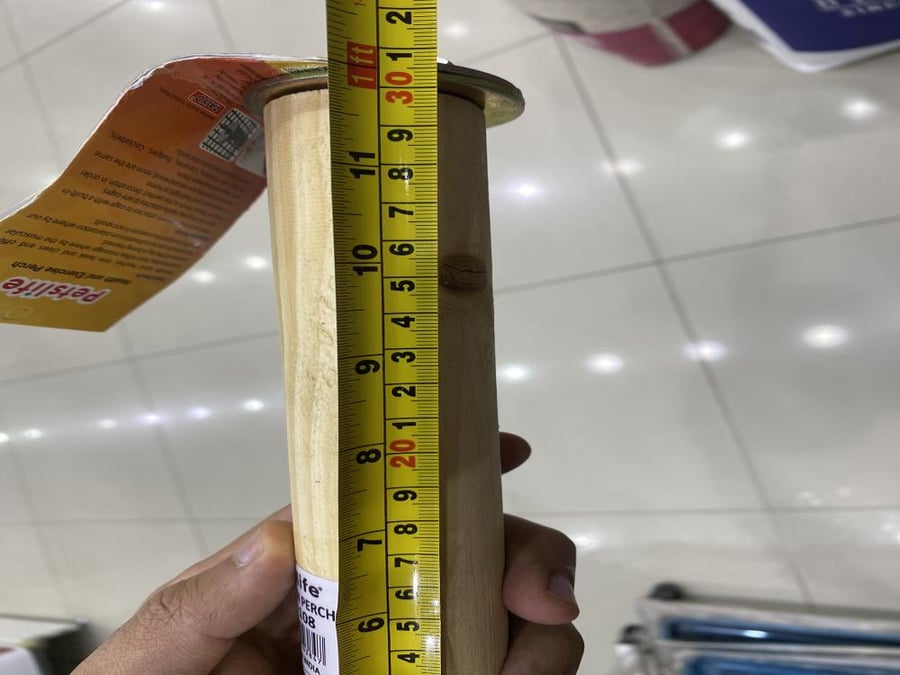 مجثم طيور خشب ببغاء كاكسو مجثم ببغاء كوكاتو درة كنيور