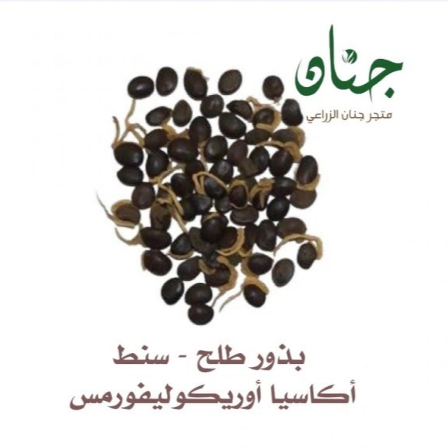 بذور شجرة طلح سنط أكاسيا اوريكوليفورميس Acacia Auriculiformis