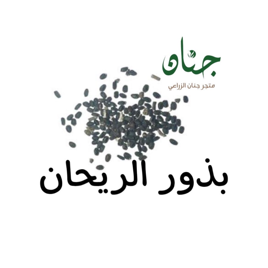 بذور الريحان