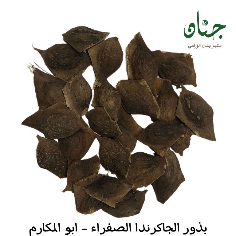 ‫بذور الجاكرندا الصفراء - ابو المكارم‬ ( Tipuana tipu )