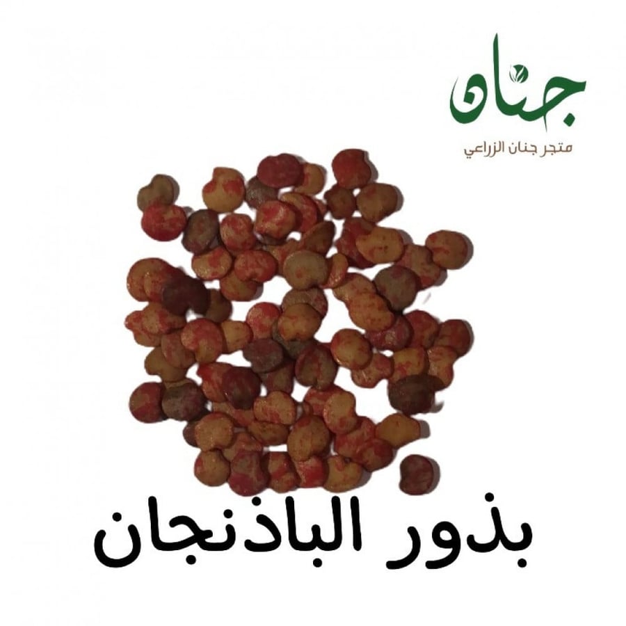 بذور الباذنجان