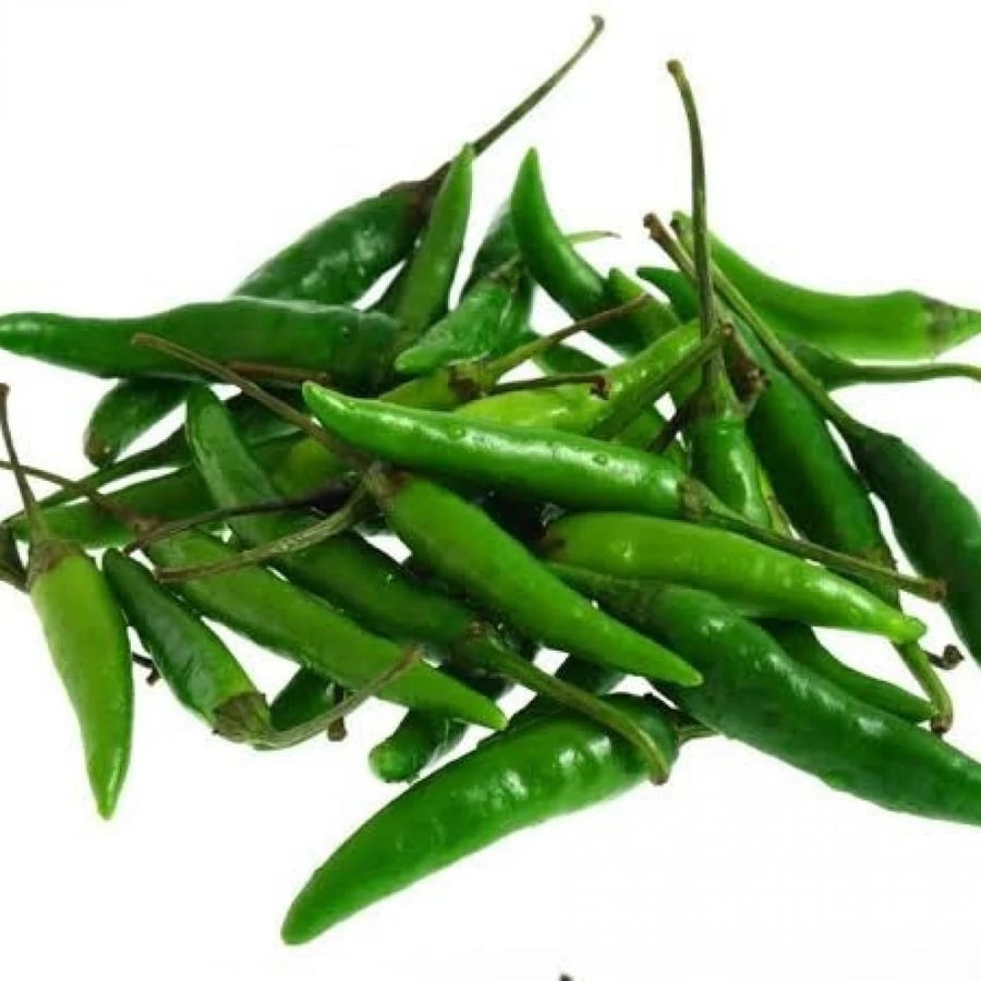 بذور الفلفل الهندي الحار الأخضر ( Capsicum annuum )