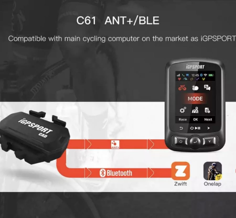 حساس cadence C61