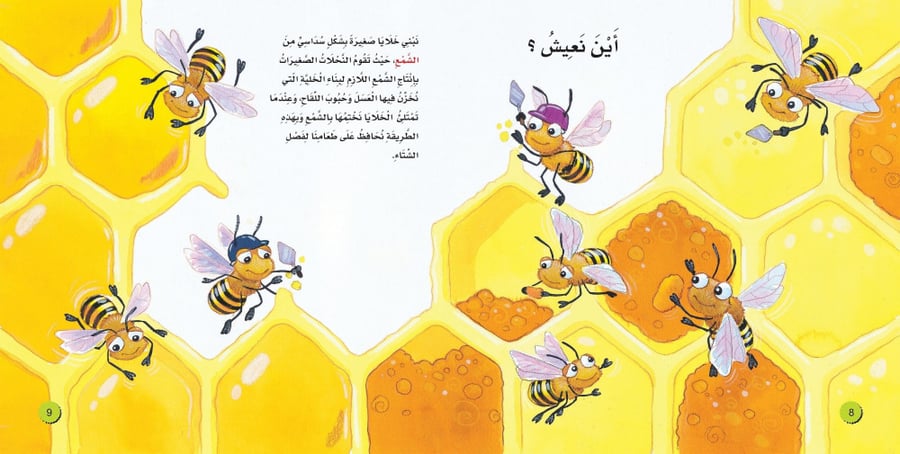 سلسلة اكتشف (4كتب)