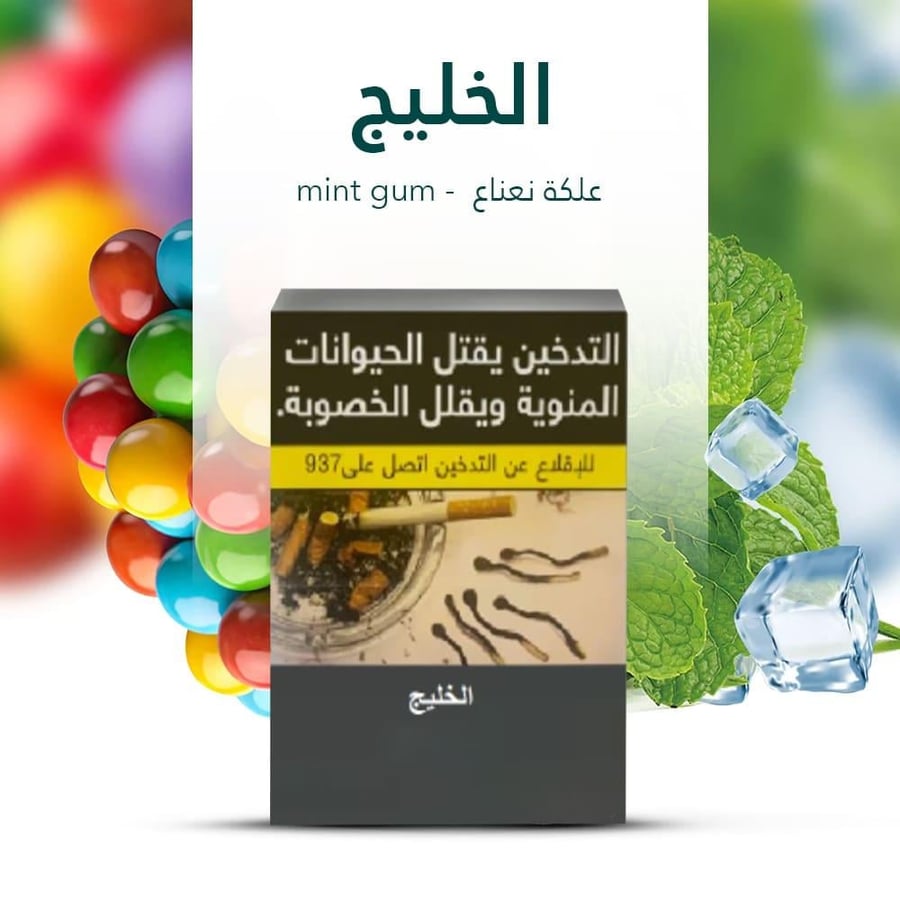 معسلات شيشة الخليج بنكهة علكة نعناع 250جم alkhaleej molasses gum mint