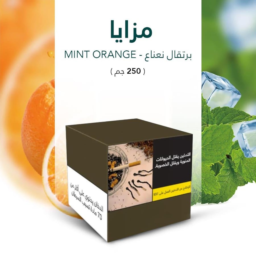 معسلات شيشة مزايا بنكهة برتقال نعناع mazaya molasses mint orange