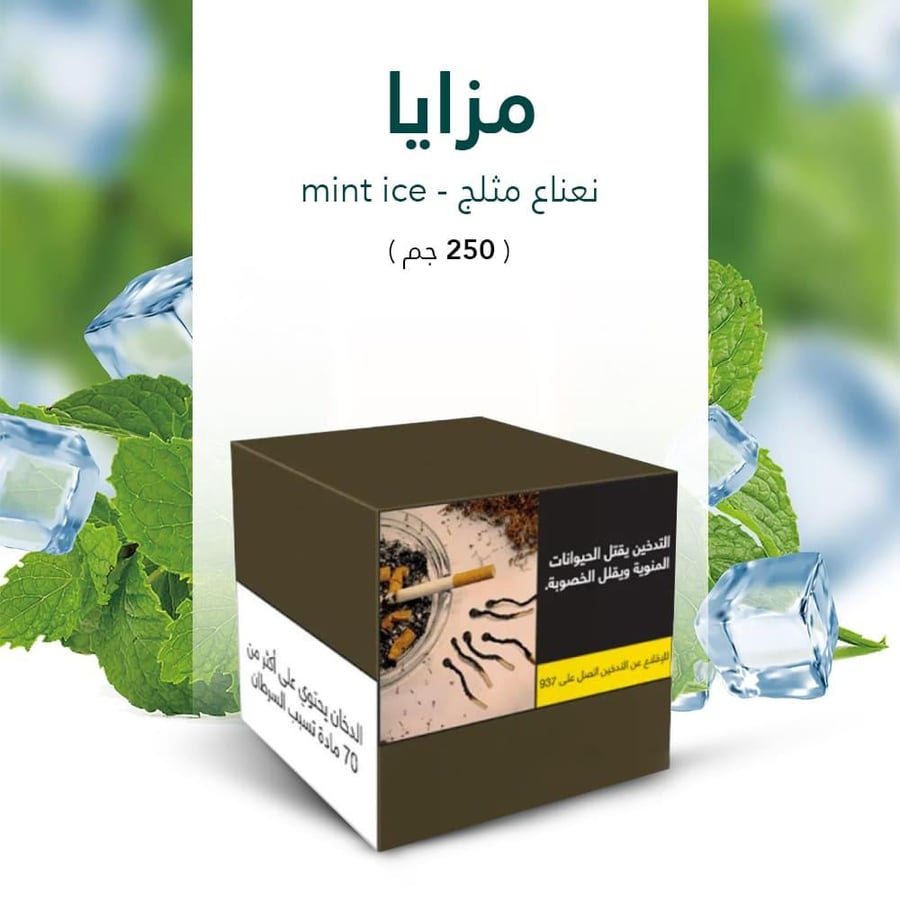 معسلات شيشة مزايا بنكهة نعناع ايس  mazaya molasses mint ice
