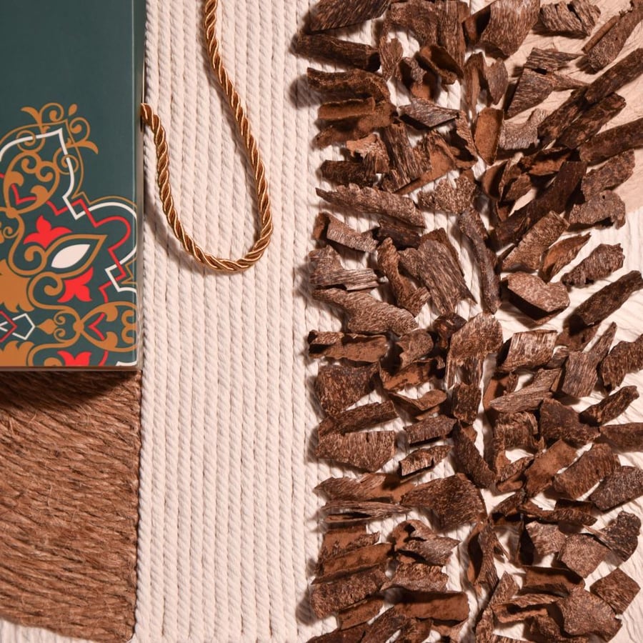 عرض ثلاث غابات
