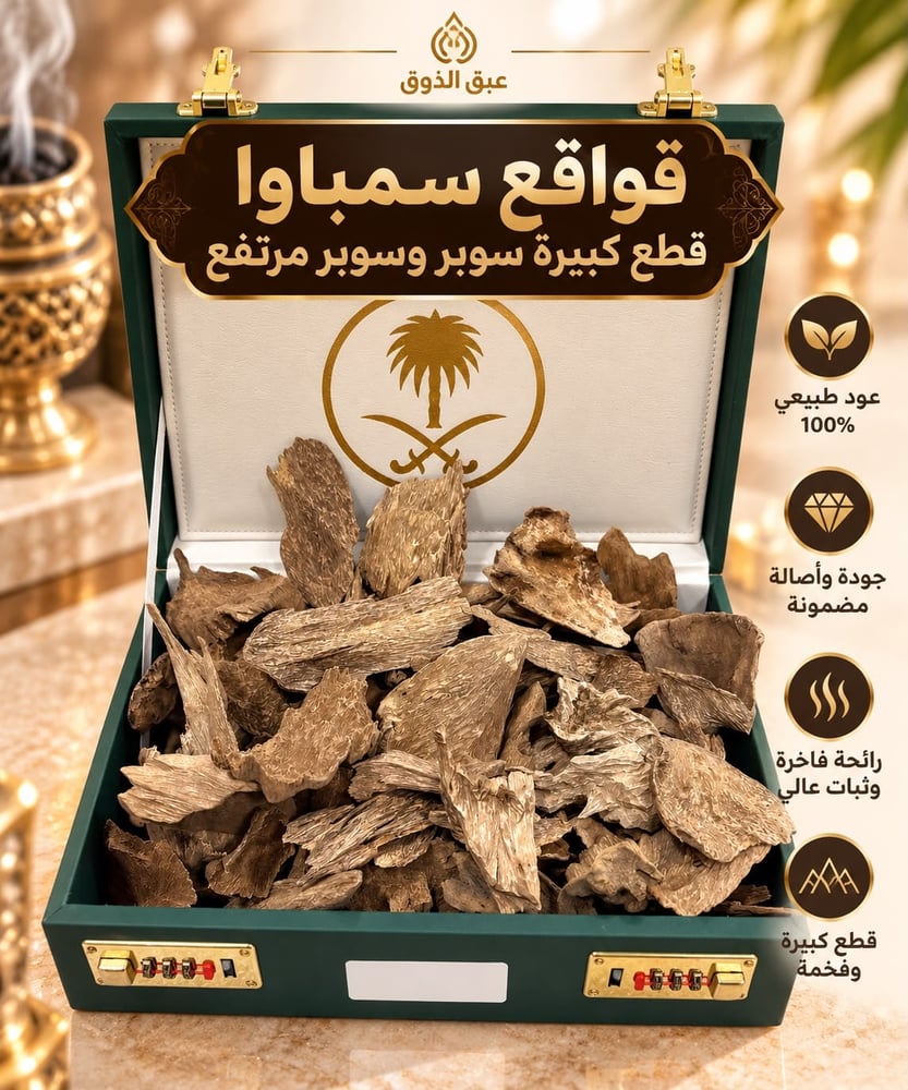 قواقع سمباوا قطع كبيرة سوبر وسوبر مرتفع