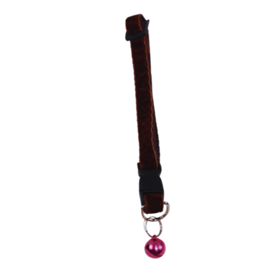 A collar for cats with a bell in different colors
