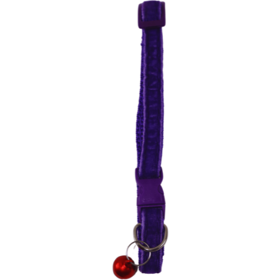 A collar for cats with a bell in different colors