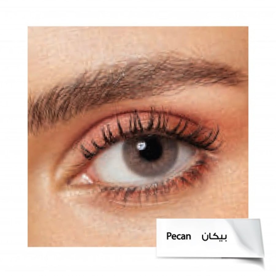 Daya daily contact lenses Pecan