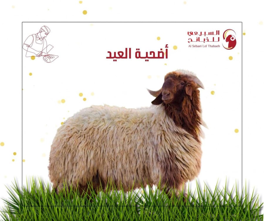 نعيمي جذع وسط
