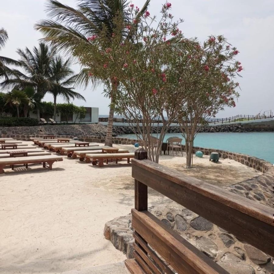 ( September 23,2026 الاربعاء Wednesday )