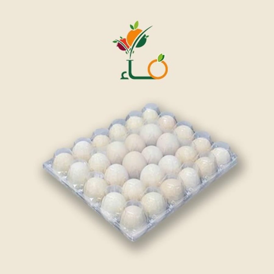 بيض فاخر-متجر فـــــــاء