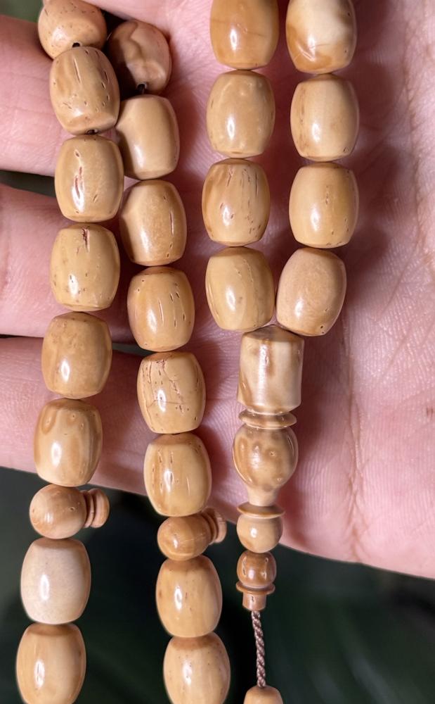 مسباح كوك أبيض قصة فلاحية