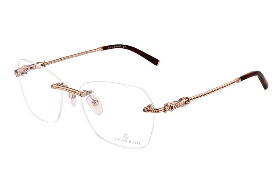 Shariel glasses-75091 C03