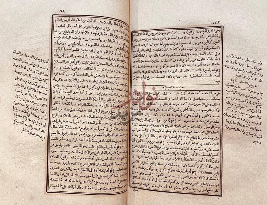 صفحة داخلية كتاب حاشية الشرقاوى باب الاضحية