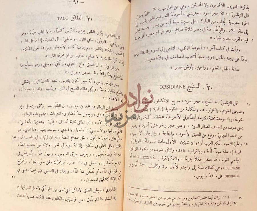 صفحة داخلية كتاب نخب الذخائر في احوال الجواهر