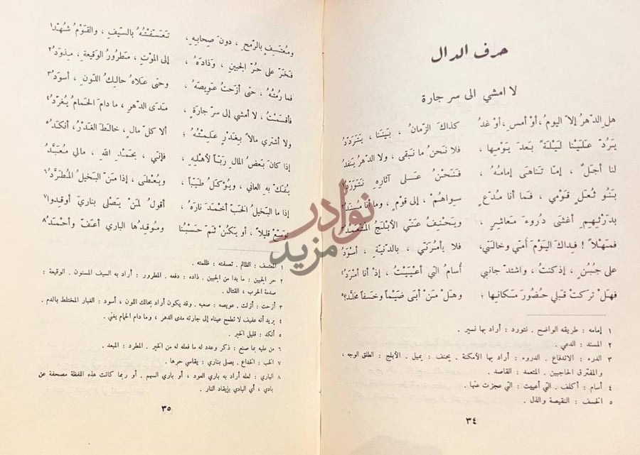 صفحة داخلية كتاب ديوان حاتم الطائي حرف الدال