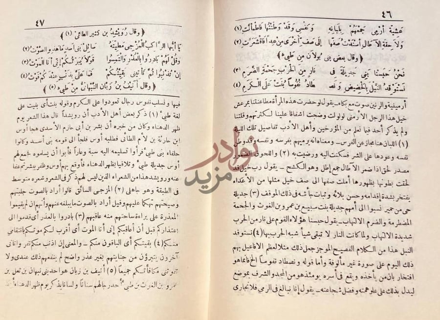 صفحة داخلية كتاب ديوان الحماسة شرح الشعر