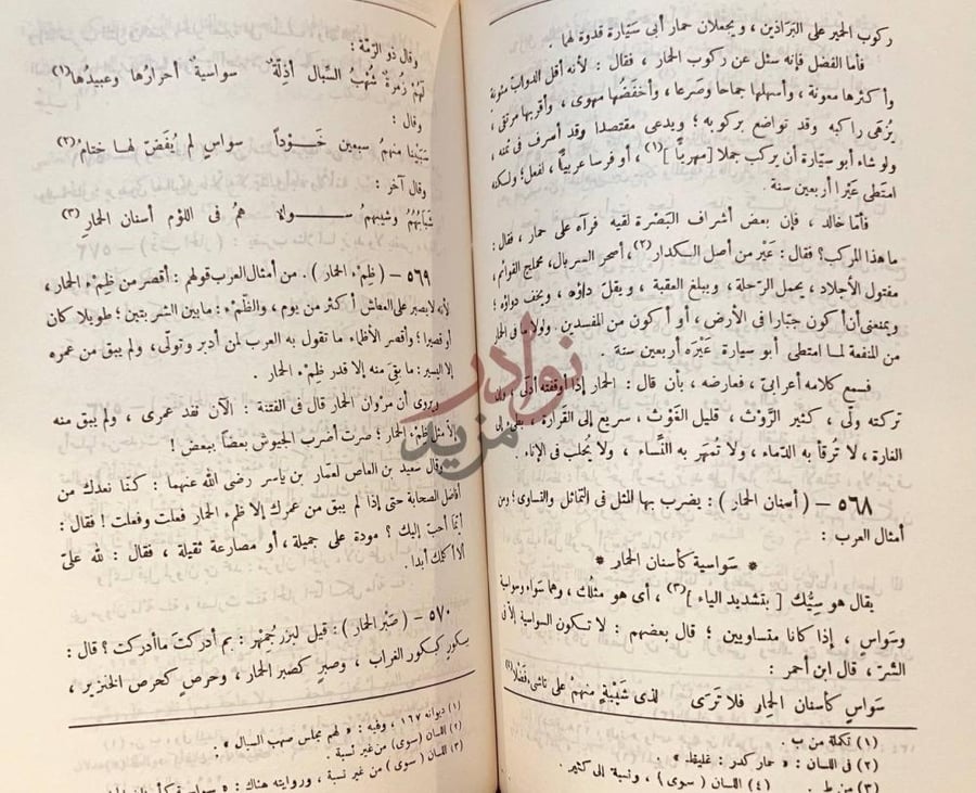 صفحة داخلية كتاب ثمار القلوب في المضاف والمنسوب متن الكتاب