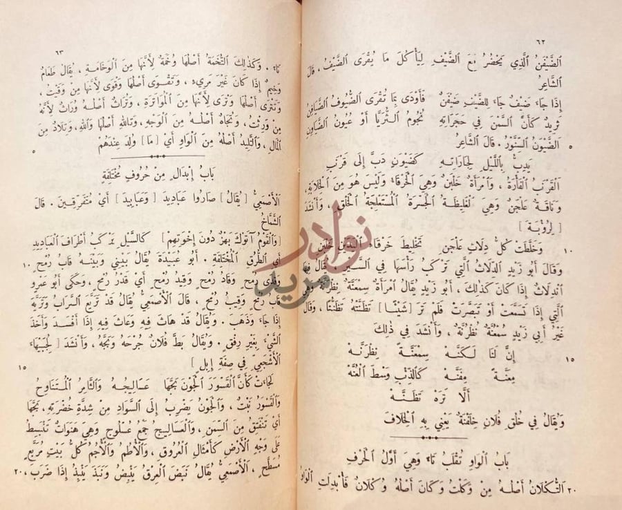صفحة داخلية كتاب الكنز اللغوي في اللسن العربي