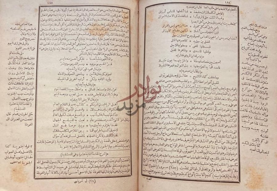 صفحة داخلية كتاب شرح المقامات الحريريه