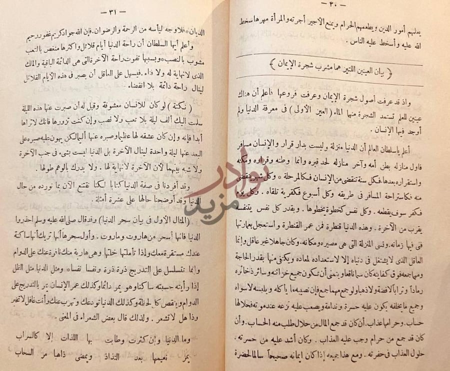 صفحة داخلية كتاب التبر المسبوك في نصيحة الملوك