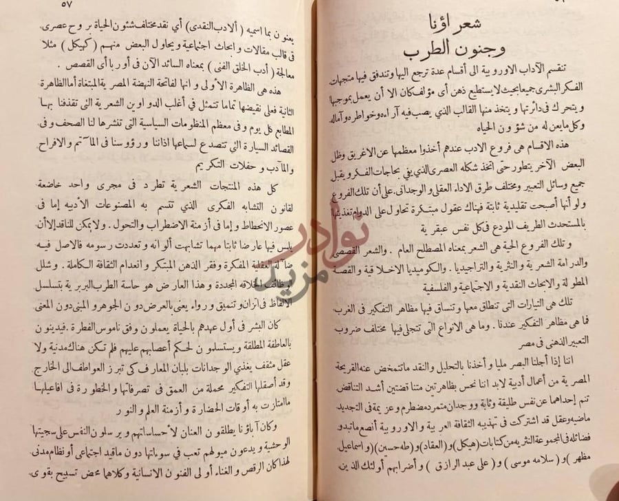 صفحة داخلية كتاب الادب الحي شعر أوانا وجنون