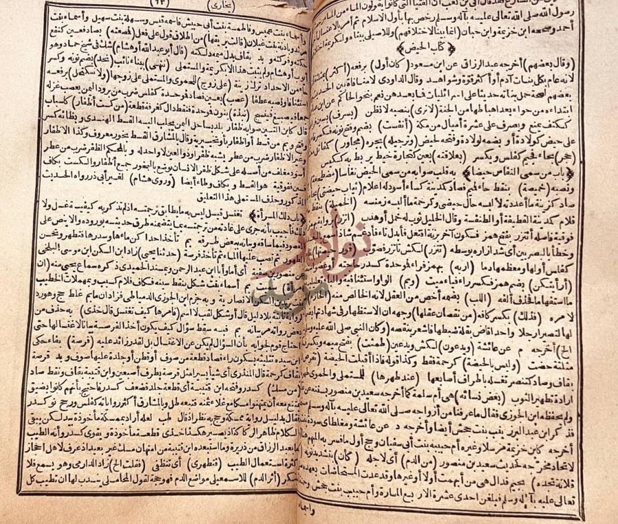 صفحة داخلية كتاب حاشية روح التوشيح على صحيح البخاري