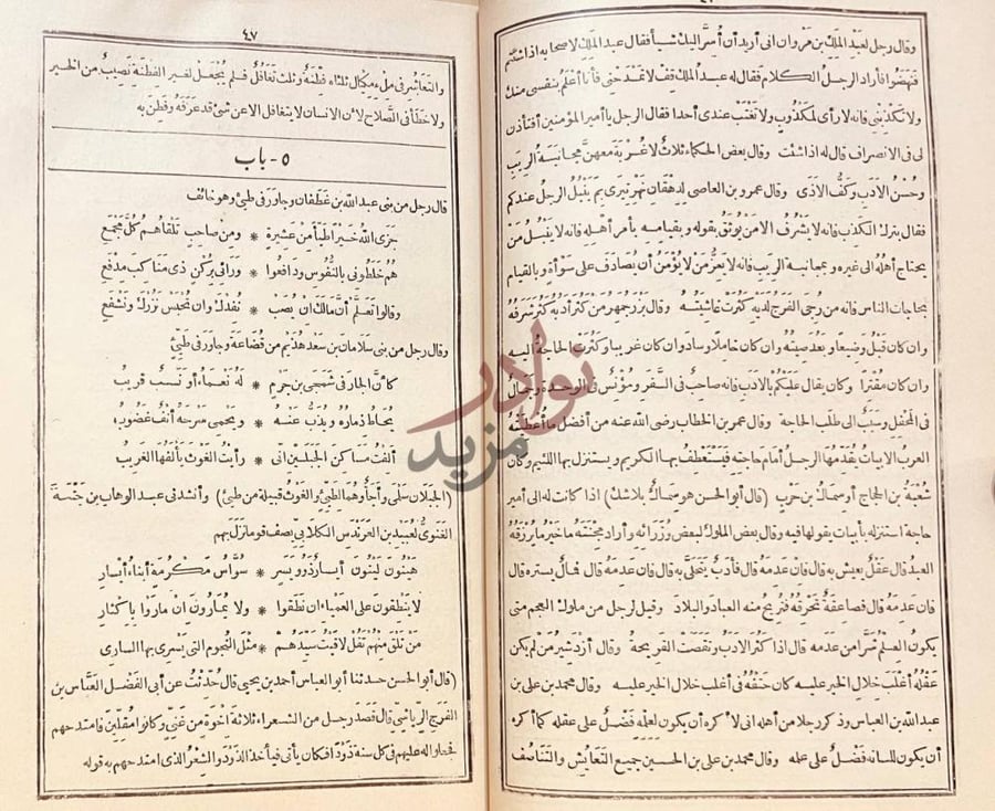 صفحة داخلية كتاب الكامل في اللغة والادب باب